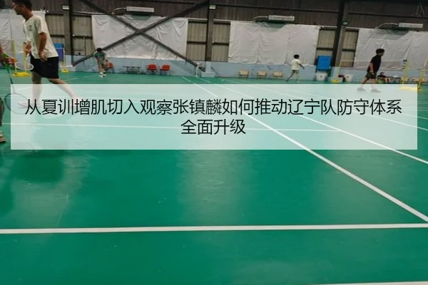 从夏训增肌切入观察张镇麟如何推动辽宁队防守体系全面升级