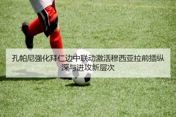 img_1784036341795_267_1_493.jpg